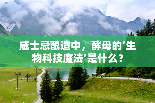威士忌酿造中，酵母的‘生物科技魔法’是什么？