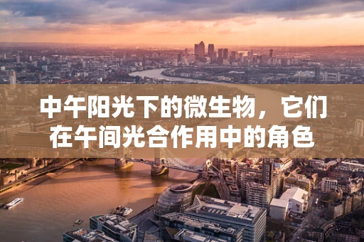 中午阳光下的微生物，它们在午间光合作用中的角色
