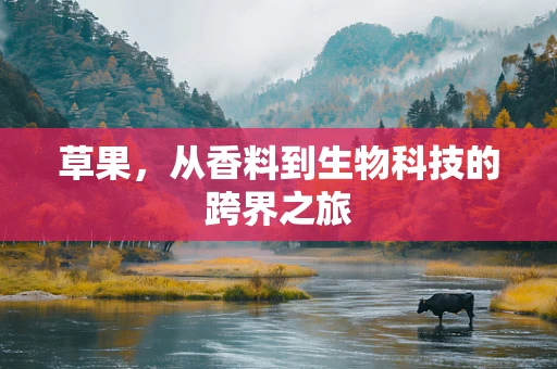 草果，从香料到生物科技的跨界之旅