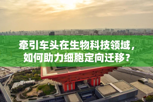 牵引车头在生物科技领域，如何助力细胞定向迁移？