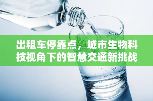 出租车停靠点，城市生物科技视角下的智慧交通新挑战？