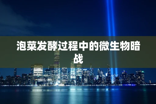 泡菜发酵过程中的微生物暗战