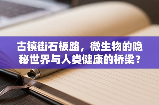 古镇街石板路，微生物的隐秘世界与人类健康的桥梁？