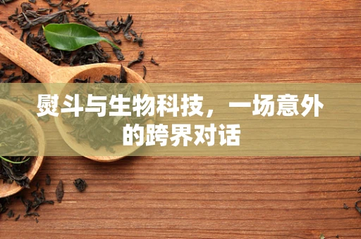熨斗与生物科技，一场意外的跨界对话