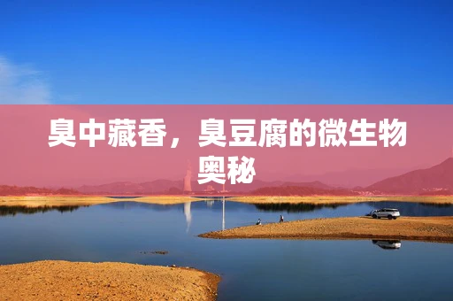 臭中藏香，臭豆腐的微生物奥秘