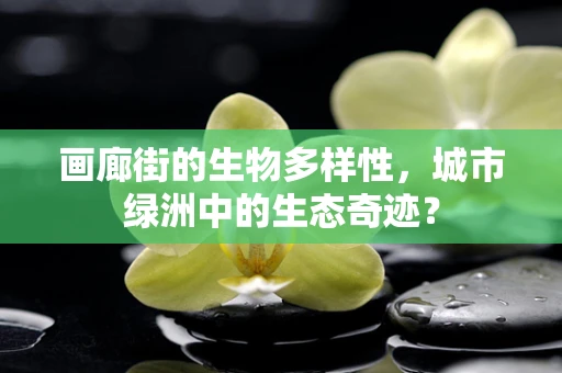画廊街的生物多样性，城市绿洲中的生态奇迹？