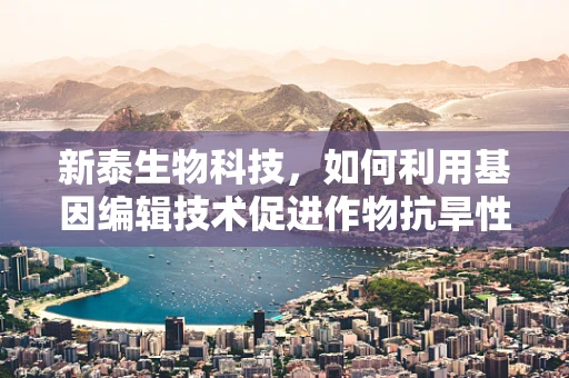 新泰生物科技，如何利用基因编辑技术促进作物抗旱性？
