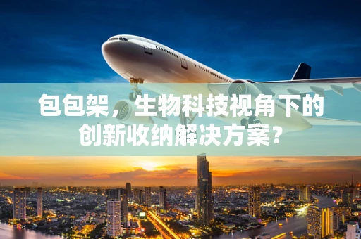 包包架，生物科技视角下的创新收纳解决方案？