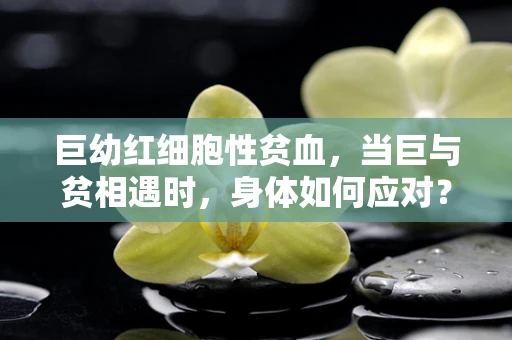 巨幼红细胞性贫血，当巨与贫相遇时，身体如何应对？
