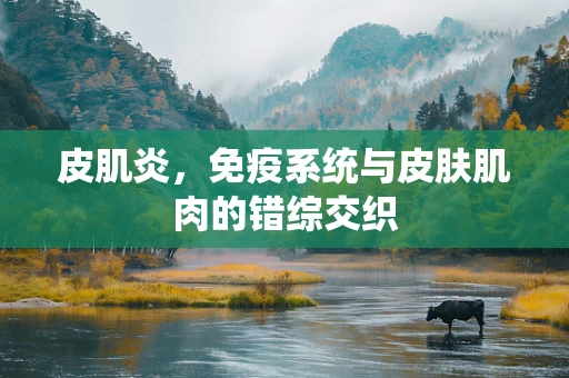 皮肌炎，免疫系统与皮肤肌肉的错综交织