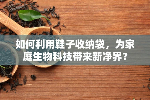 如何利用鞋子收纳袋，为家庭生物科技带来新净界？