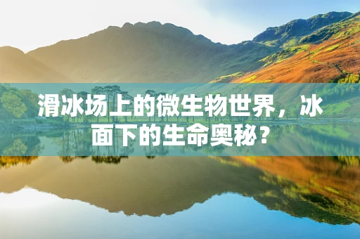 滑冰场上的微生物世界，冰面下的生命奥秘？