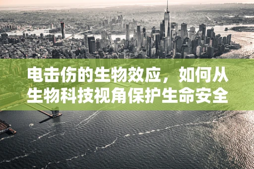 电击伤的生物效应，如何从生物科技视角保护生命安全？