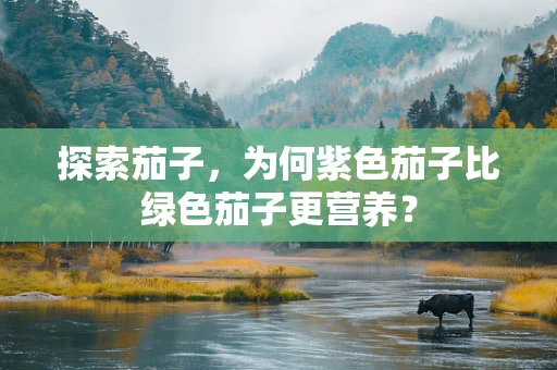 探索茄子，为何紫色茄子比绿色茄子更营养？