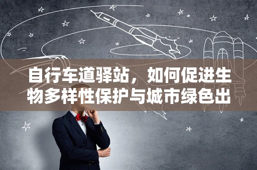 自行车道驿站，如何促进生物多样性保护与城市绿色出行？