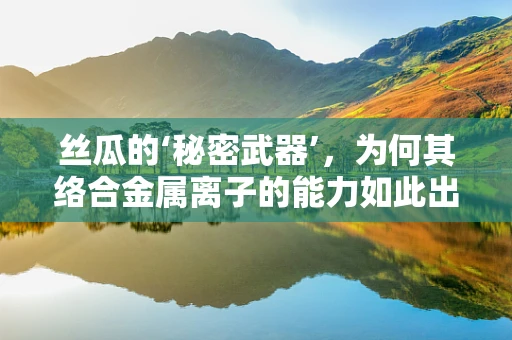丝瓜的‘秘密武器’，为何其络合金属离子的能力如此出众？