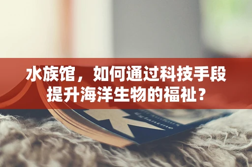 水族馆，如何通过科技手段提升海洋生物的福祉？