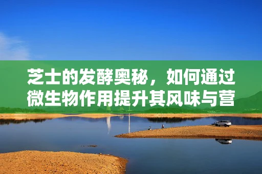 芝士的发酵奥秘，如何通过微生物作用提升其风味与营养价值？