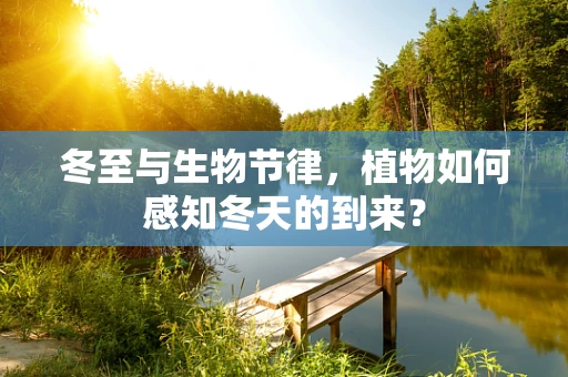 冬至与生物节律，植物如何感知冬天的到来？