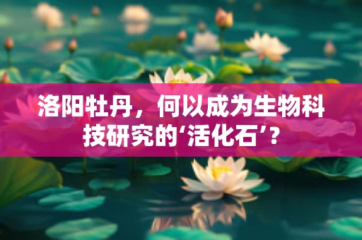 洛阳牡丹，何以成为生物科技研究的‘活化石’？