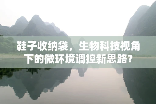 鞋子收纳袋，生物科技视角下的微环境调控新思路？