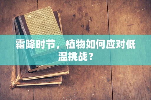 霜降时节，植物如何应对低温挑战？