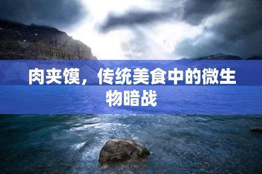 肉夹馍，传统美食中的微生物暗战