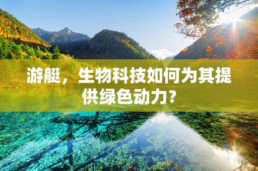 游艇，生物科技如何为其提供绿色动力？