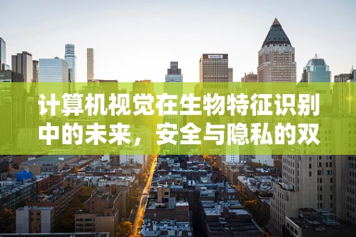 计算机视觉在生物特征识别中的未来，安全与隐私的双重挑战？