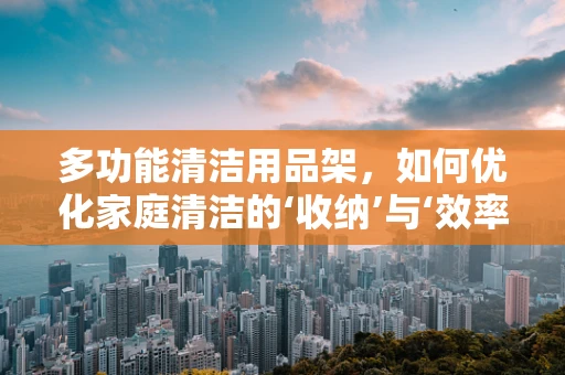 多功能清洁用品架，如何优化家庭清洁的‘收纳’与‘效率’？