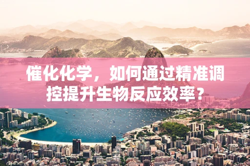催化化学，如何通过精准调控提升生物反应效率？