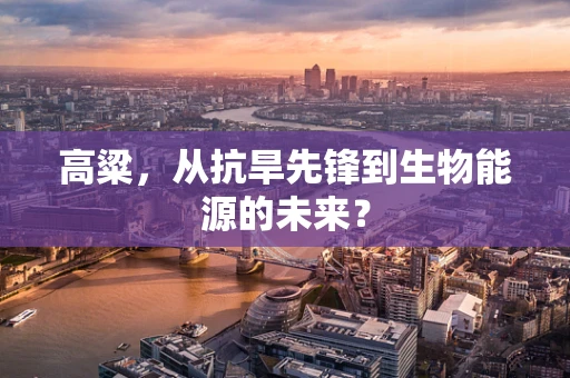 高粱，从抗旱先锋到生物能源的未来？