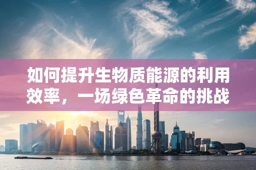 如何提升生物质能源的利用效率，一场绿色革命的挑战与机遇？