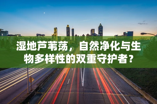 湿地芦苇荡，自然净化与生物多样性的双重守护者？
