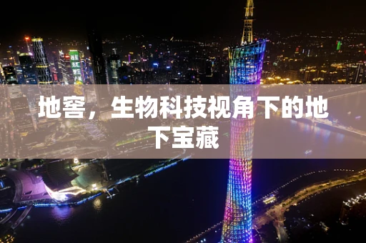 地窖，生物科技视角下的地下宝藏