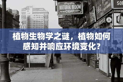 植物生物学之谜，植物如何感知并响应环境变化？