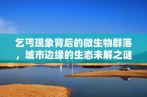 乞丐现象背后的微生物群落，城市边缘的生态未解之谜