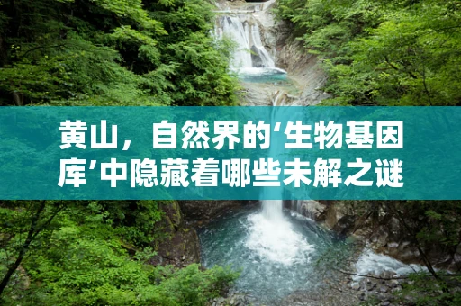 黄山，自然界的‘生物基因库’中隐藏着哪些未解之谜？
