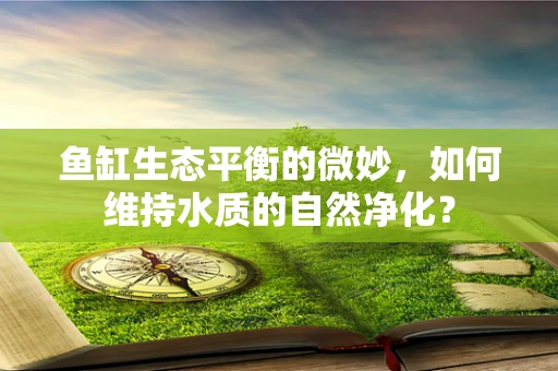 鱼缸生态平衡的微妙，如何维持水质的自然净化？