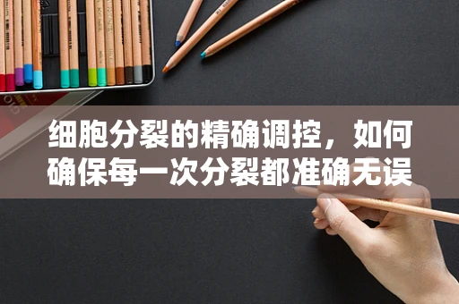 细胞分裂的精确调控，如何确保每一次分裂都准确无误？