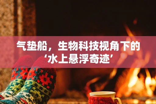 气垫船，生物科技视角下的‘水上悬浮奇迹’