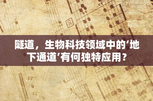 隧道，生物科技领域中的‘地下通道’有何独特应用？