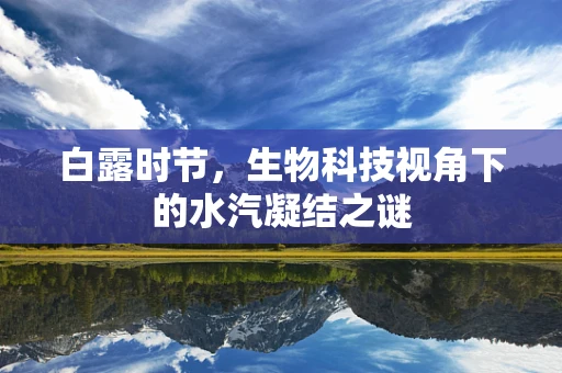 白露时节，生物科技视角下的水汽凝结之谜