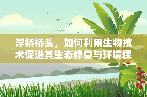 浮桥桥头，如何利用生物技术促进其生态修复与环境保护？