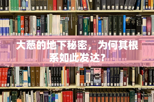 大葱的地下秘密，为何其根系如此发达？
