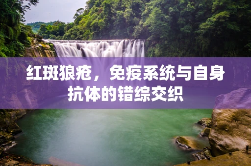 红斑狼疮，免疫系统与自身抗体的错综交织