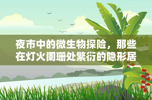 夜市中的微生物探险，那些在灯火阑珊处繁衍的隐形居民