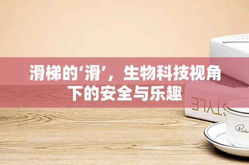 滑梯的‘滑’，生物科技视角下的安全与乐趣