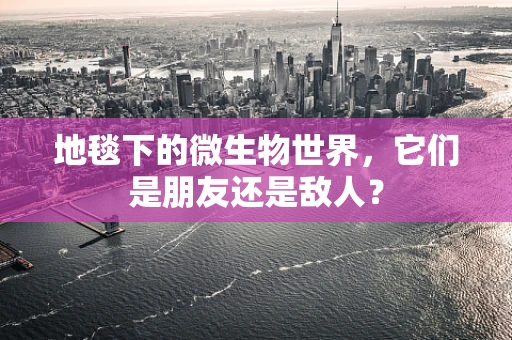 地毯下的微生物世界，它们是朋友还是敌人？