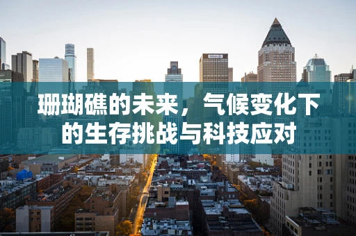 珊瑚礁的未来，气候变化下的生存挑战与科技应对
